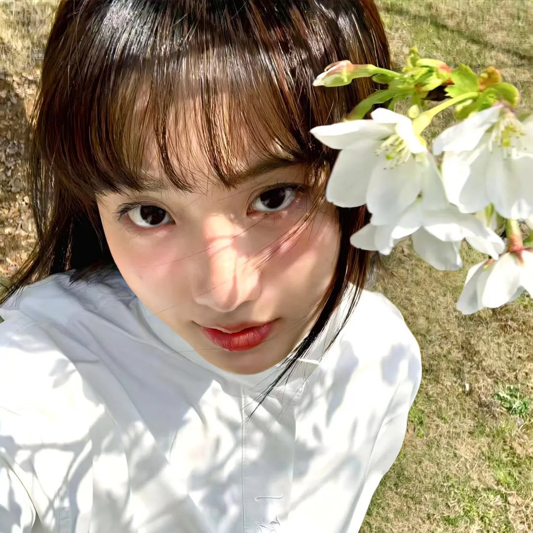 花蕊夫人
